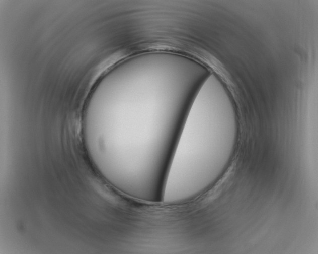 X0000113981234200910020942