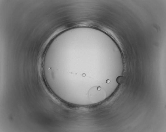 X0000113981235200910020942