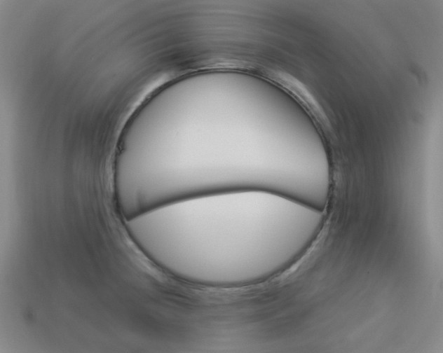 X0000113981236200910020942