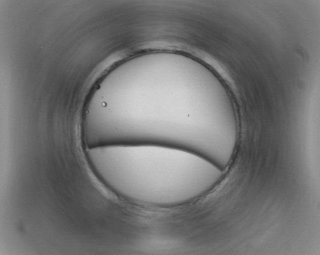 X0000113981237200910020942