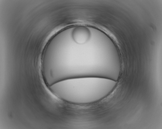 X0000113981239200910020942