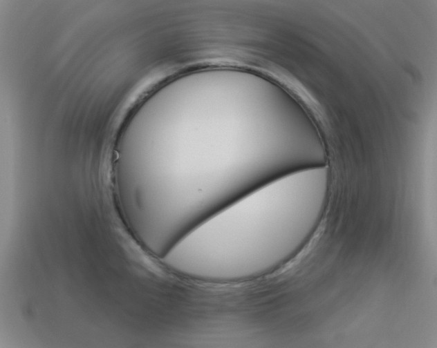 X0000113981240200910020942