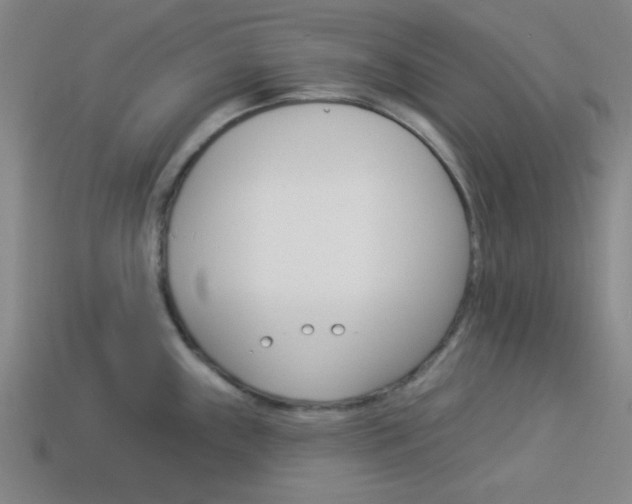 X0000113981243200910020942