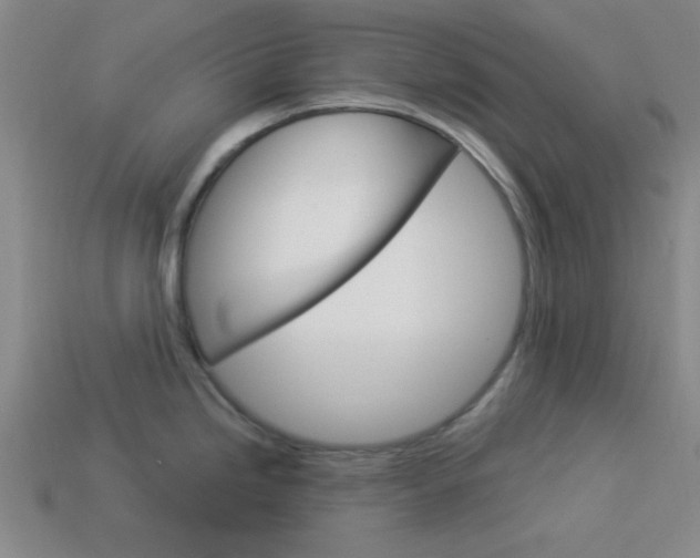 X0000113981246200910020942