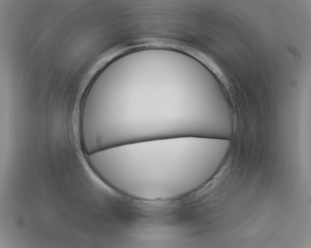 X0000113981247200910020942