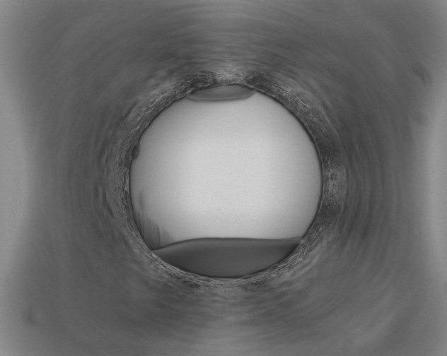 X0000113981249200910020942
