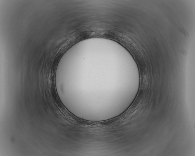 X0000113981250200910020942