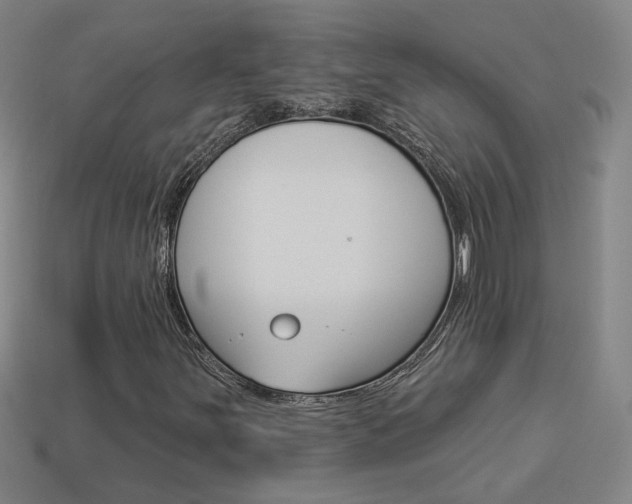 X0000113981251200910020942