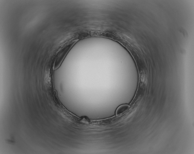 X0000113981252200910020942