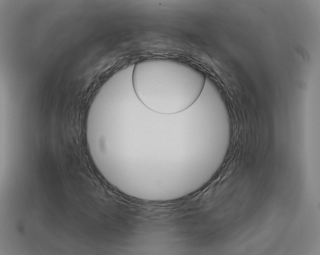 X0000113981253200910020942