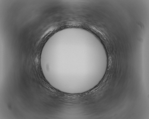 X0000113981254200910020942