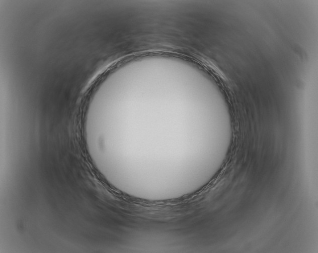 X0000113981256200910020942