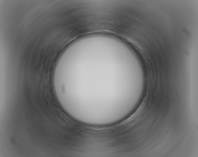 X0000113981257200910020942