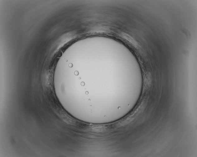 X0000113981258200910020942