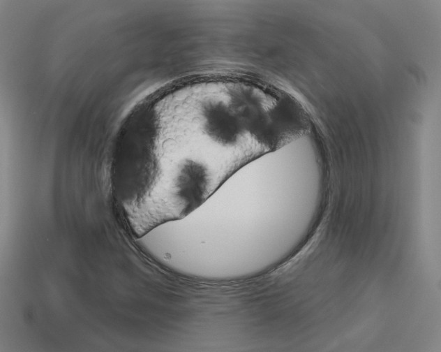 X0000113981259200910020942