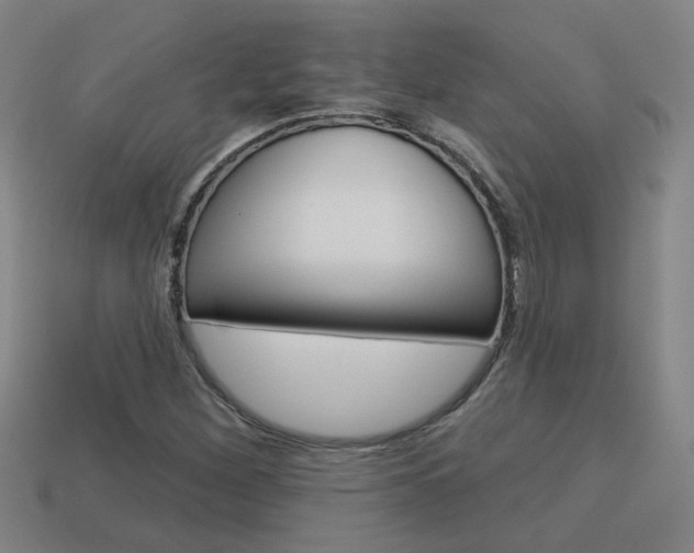 X0000113981260200910020942
