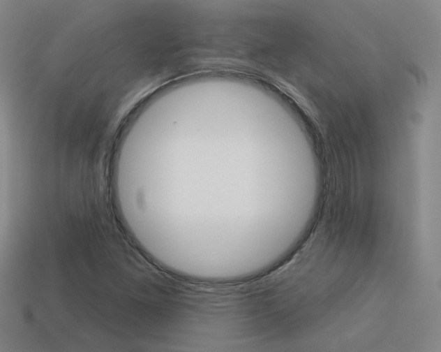 X0000113981261200910020941