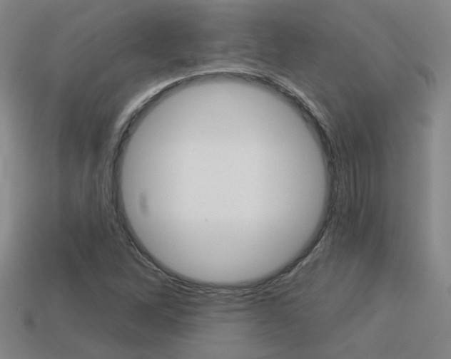 X0000113981262200910020941