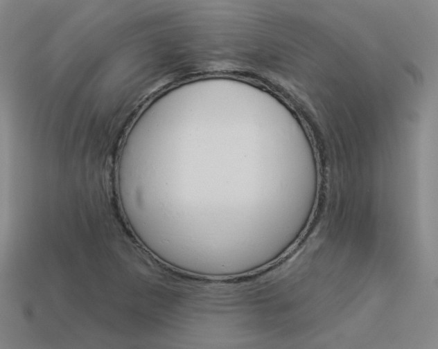 X0000113981265200910020941