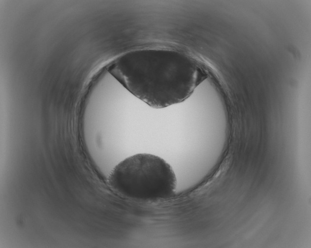 X0000113981267200910020941