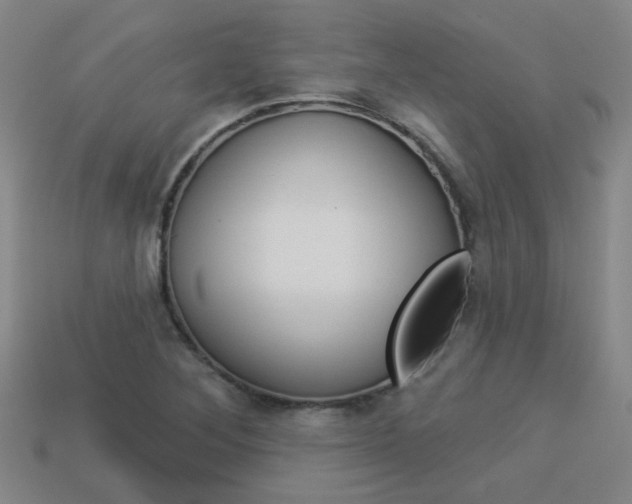 X0000113981268200910020941