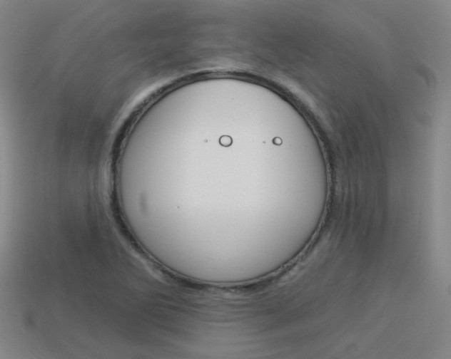 X0000113981270200910020941