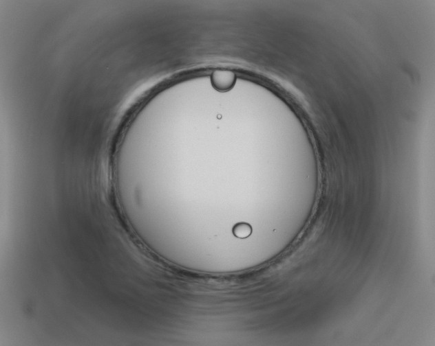 X0000113981271200910020941