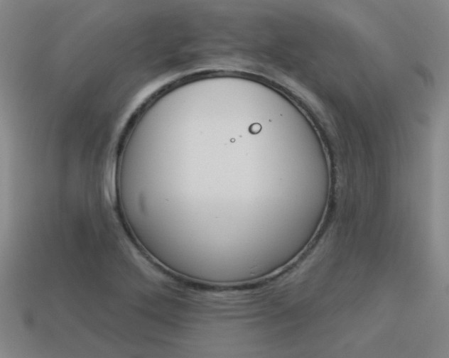 X0000113981272200910020941