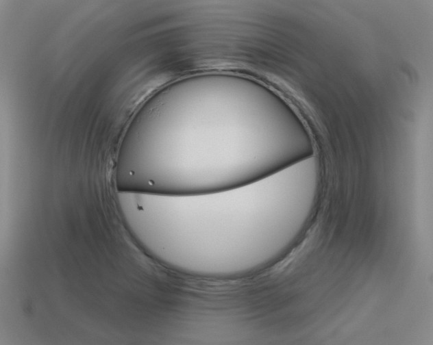 X0000113981273200910020941