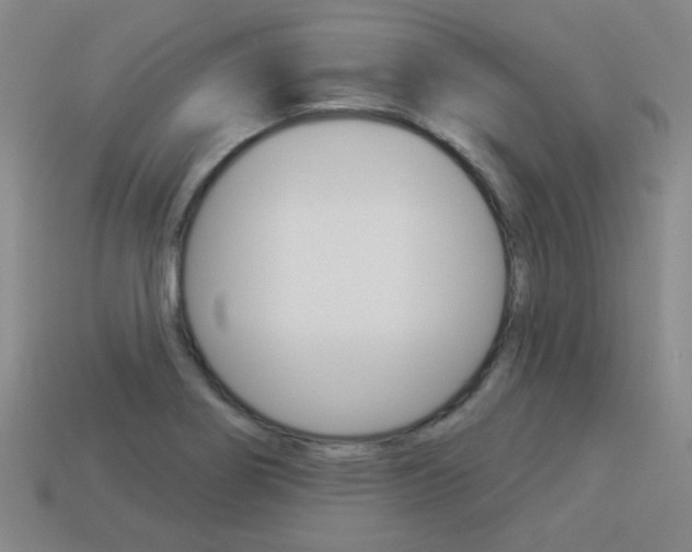 X0000113981274200910020941
