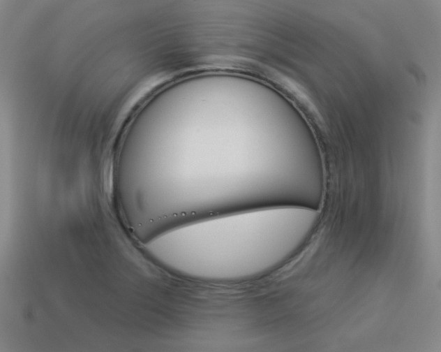 X0000113981275200910020941