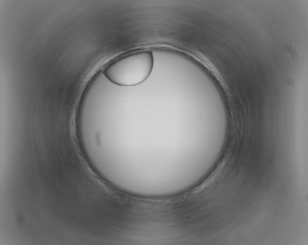 X0000113981277200910020941