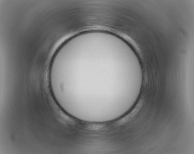X0000113981278200910020941