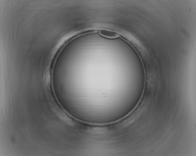X0000113981280200910020941