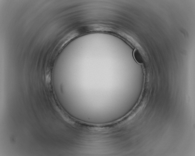 X0000113981281200910020941