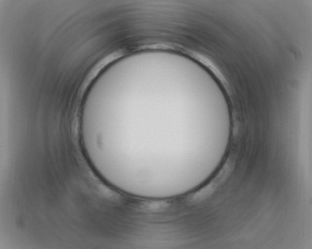 X0000113981282200910020941
