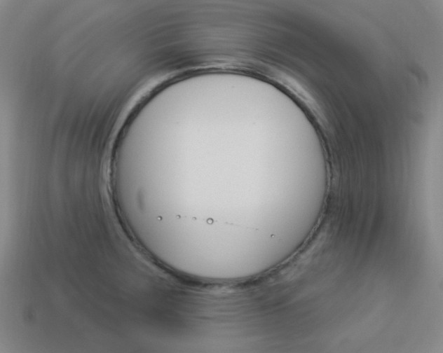 X0000113981283200910020941
