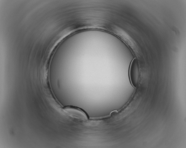 X0000113981284200910020941