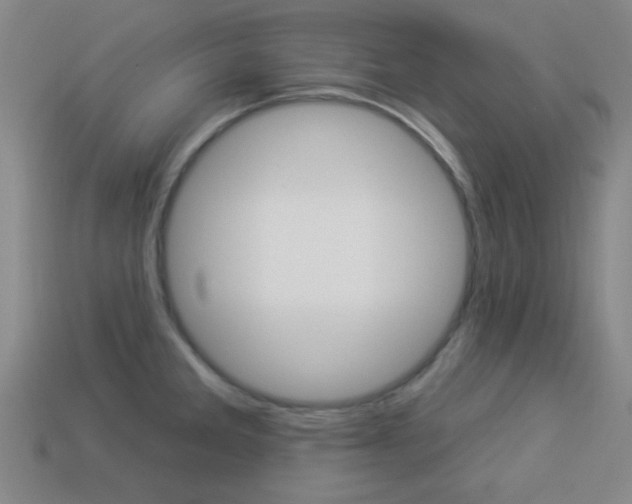 X0000113981285200910020941