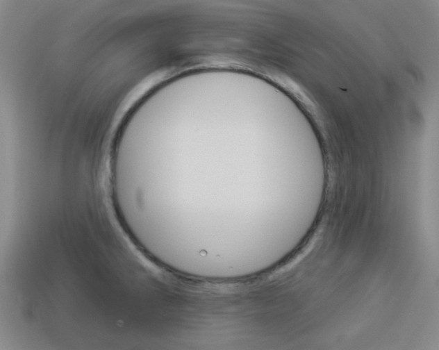 X0000113981286200910020941