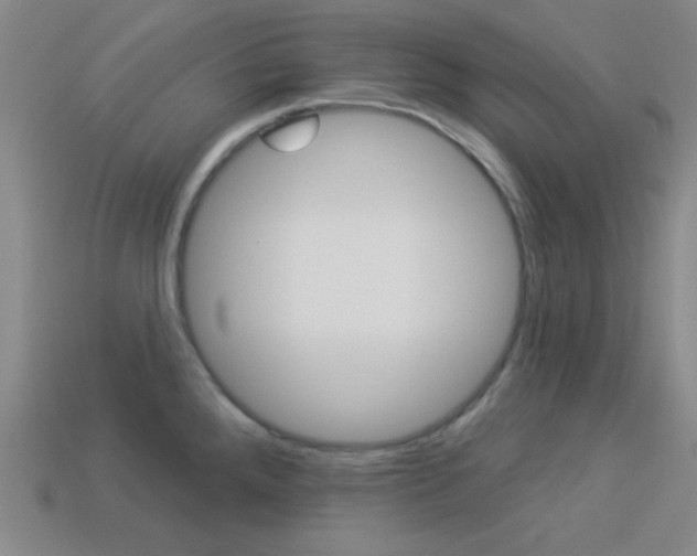X0000113981288200910020941