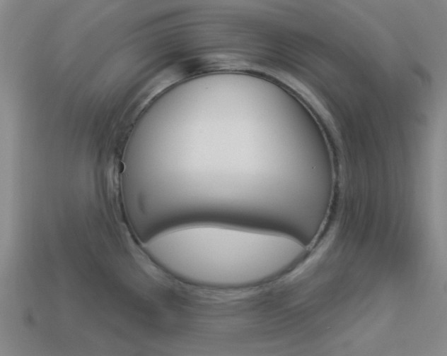 X0000113981289200910020941