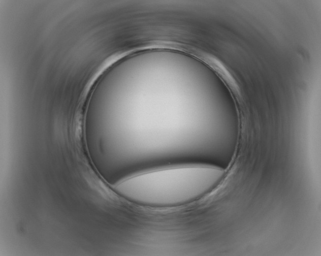 X0000113981292200910020941