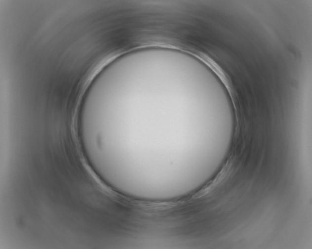 X0000113981293200910020941