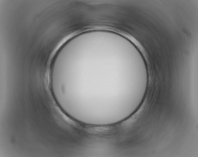 X0000113981294200910020941