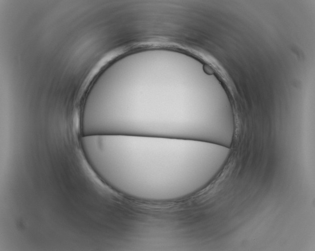 X0000113981295200910020941