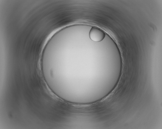 X0000113981296200910020941