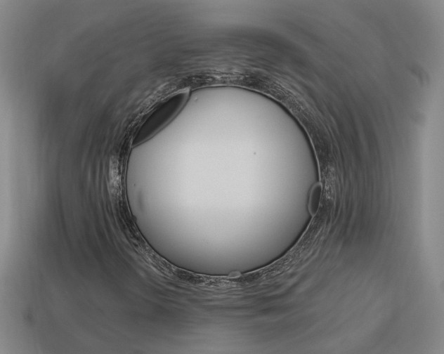 X0000113981298200910020940