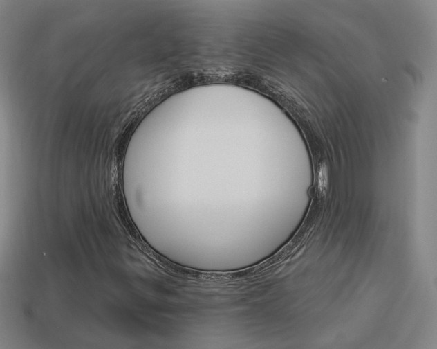 X0000113981299200910020940