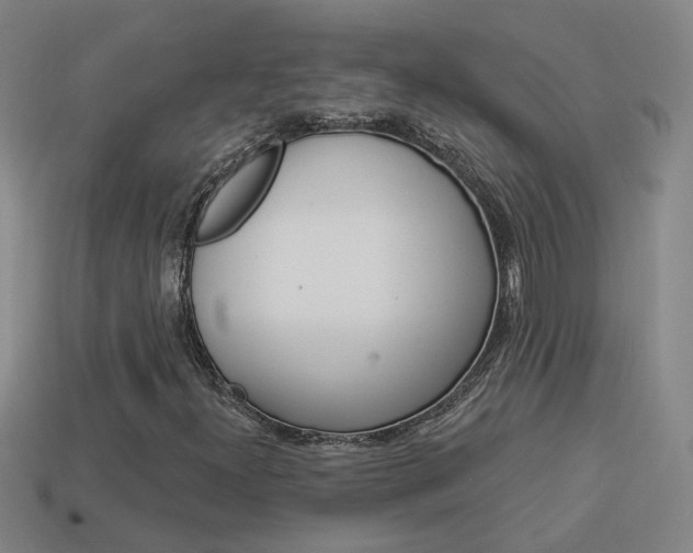 X0000113981300200910020940